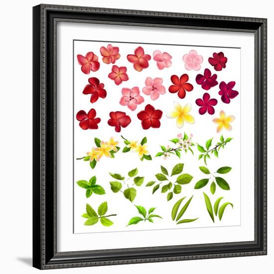 Collection of Different Flowers and Leaves on White-annanurrka-Framed Art Print