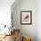 Collection of Fruit-Laure Girardin Vissian-Framed Giclee Print displayed on a wall