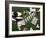 Collection of Golf Equipment; Shoes, Clubs, Etc-Karen M^ Romanko-Framed Photographic Print