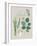 Collection of Herbs-Laure Girardin Vissian-Framed Giclee Print