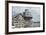 Collection of Lobster Buoys, Maine, USA-Rick Daley-Framed Photographic Print