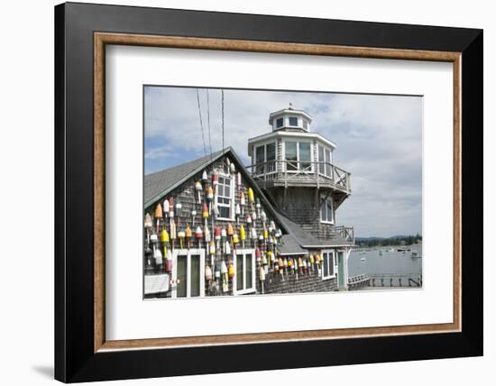 Collection of Lobster Buoys, Maine, USA-Rick Daley-Framed Photographic Print