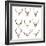 Collection of Red Deer Trophies-taviphoto-Framed Photographic Print