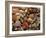 Collection of Sea Shells-Tony Craddock-Framed Photographic Print