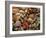 Collection of Sea Shells-Tony Craddock-Framed Photographic Print