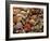 Collection of Sea Shells-Tony Craddock-Framed Photographic Print