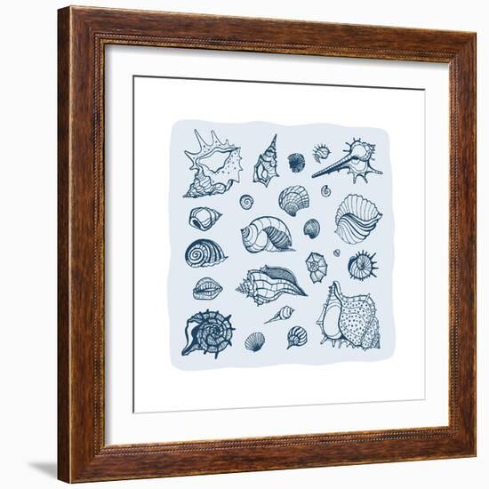 Collection of Seashells-Katya Ulitina-Framed Art Print