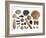 Collection of Shells from the North Sea-Philippe Clement-Framed Photographic Print