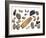 Collection of Shells-Philippe Clement-Framed Photographic Print