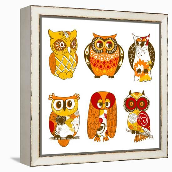 Collection of Six Different Owls-Alisa Foytik-Framed Stretched Canvas