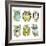 Collection of Six Different Owls-Alisa Foytik-Framed Art Print