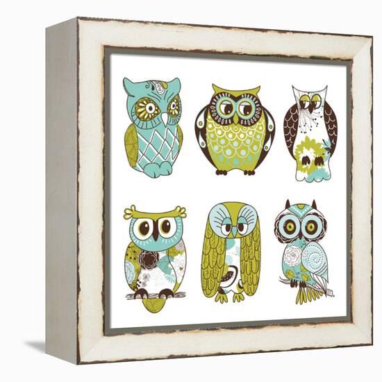 Collection of Six Different Owls-Alisa Foytik-Framed Stretched Canvas