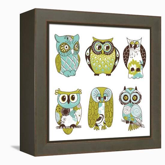 Collection of Six Different Owls-Alisa Foytik-Framed Stretched Canvas