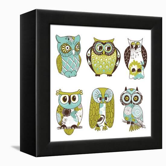 Collection of Six Different Owls-Alisa Foytik-Framed Stretched Canvas