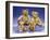 Collection of Teddy Bears-null-Framed Giclee Print