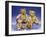 Collection of Teddy Bears-null-Framed Giclee Print