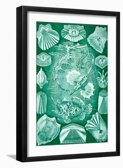 Collection of Teleostei from 'Kunstformen Der Natur', 1899-Ernst Haeckel-Framed Giclee Print