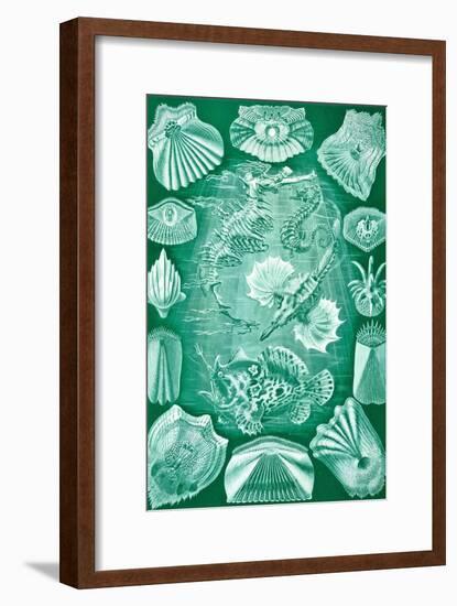 Collection of Teleostei from 'Kunstformen Der Natur', 1899-Ernst Haeckel-Framed Giclee Print