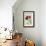 Collection of Vegetables-Laure Girardin Vissian-Framed Giclee Print displayed on a wall