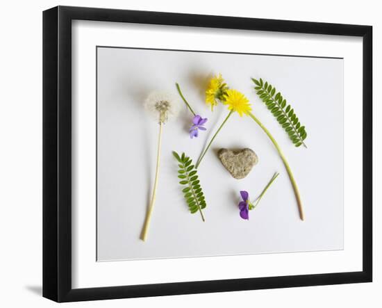 Collection of Wildflowers, Ferns and Heart Shaped Rock-Demelzaandreoli-Framed Photographic Print