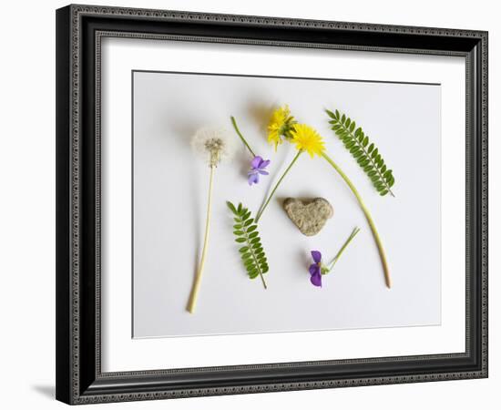 Collection of Wildflowers, Ferns and Heart Shaped Rock-Demelzaandreoli-Framed Photographic Print