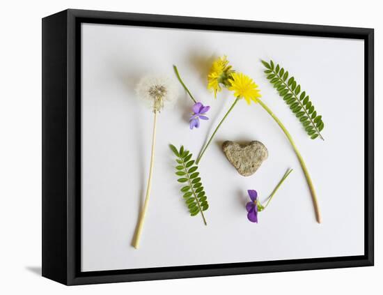 Collection of Wildflowers, Ferns and Heart Shaped Rock-Demelzaandreoli-Framed Premier Image Canvas