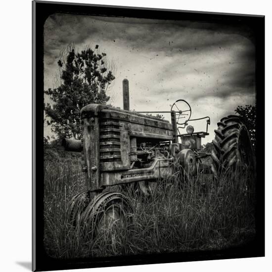 Collectors-Stephen Arens-Mounted Photographic Print