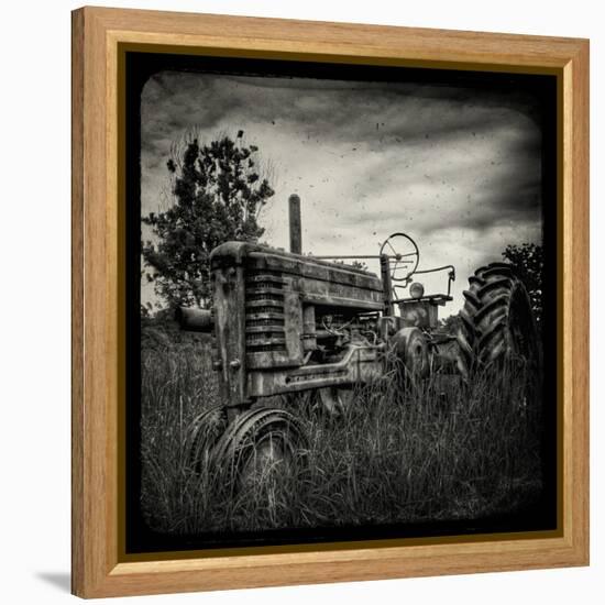 Collectors-Stephen Arens-Framed Premier Image Canvas