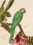 Tropical Green Pair-Colleen Sarah-Art Print