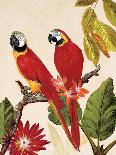 Tropical Red Pair-Colleen Sarah-Art Print