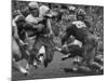 College Football Game: Georgia Tech Vs Notre Dame-Mark Kauffman-Mounted Premium Photographic Print