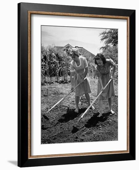 College Students Hoeing Small Plot in University of Hawaii Agriculture and Home Gardening School-Eliot Elisofon-Framed Photographic Print