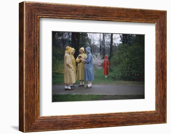 College Women During a Rain Storm at Michigan State University, Lansing Michigan 1954-Nina Leen-Framed Photographic Print