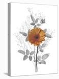 Floral Imprint II-Collezione Botanica-Giclee Print
