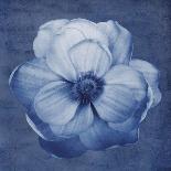 Soft Blooms - Flourish-Collezione Botanica-Giclee Print