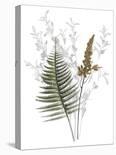 Forest Finds - Gather-Collezione Botanica-Stretched Canvas