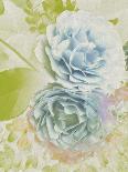 Floral Finds - Bloom-Collezione Botanica-Stretched Canvas