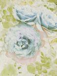 Soft Blooms - Flourish-Collezione Botanica-Giclee Print