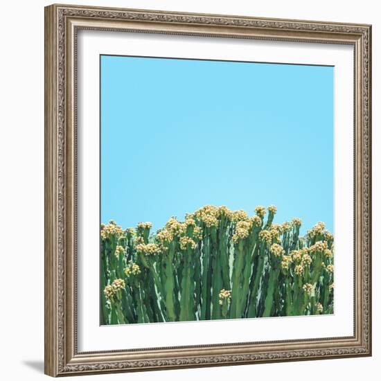 Colli-Matt Crump-Framed Photographic Print