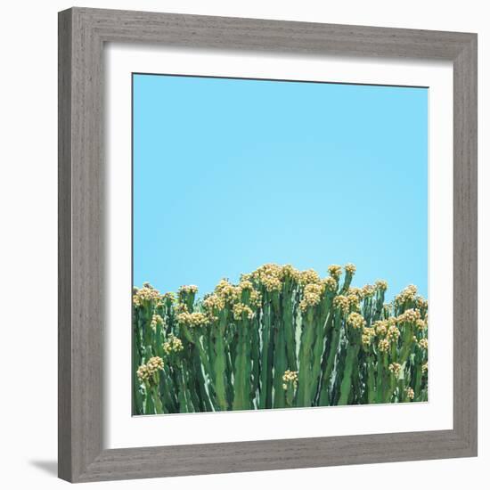 Colli-Matt Crump-Framed Photographic Print