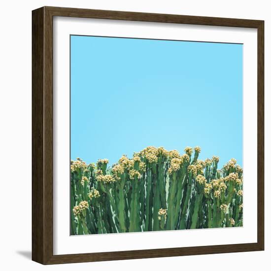 Colli-Matt Crump-Framed Photographic Print