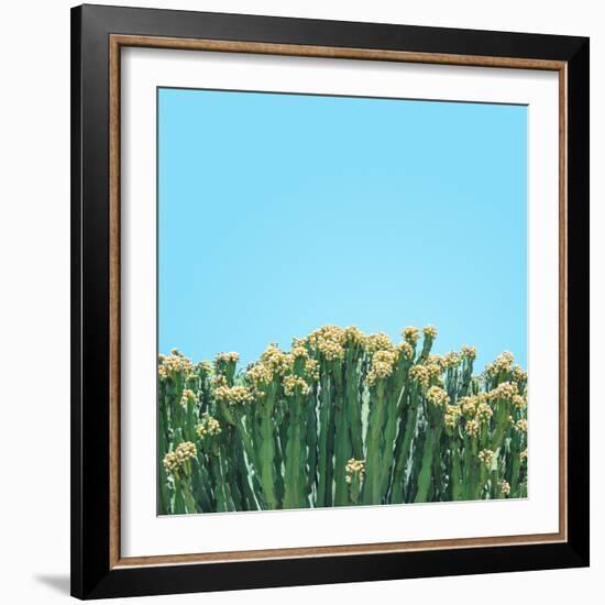 Colli-Matt Crump-Framed Photographic Print