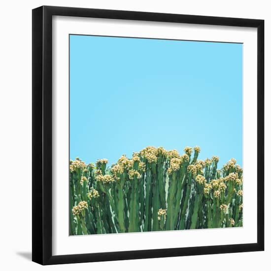 Colli-Matt Crump-Framed Photographic Print