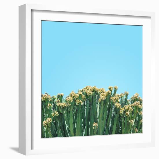 Colli-Matt Crump-Framed Photographic Print