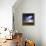 Colliding Galaxies, Artwork-Detlev Van Ravenswaay-Framed Premier Image Canvas displayed on a wall