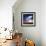 Colliding Galaxies, Artwork-Detlev Van Ravenswaay-Framed Premium Photographic Print displayed on a wall