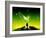 Colliding Galaxies Seen From An Alien Planet-Detlev Van Ravenswaay-Framed Photographic Print