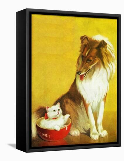 Collie and Kitten - Child Life-Jack Murray-Framed Premier Image Canvas