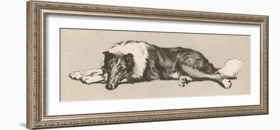 Collie Dog Relaxes-Cecil Aldin-Framed Photographic Print