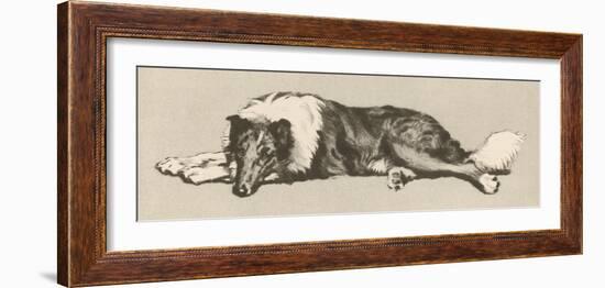 Collie Dog Relaxes-Cecil Aldin-Framed Photographic Print